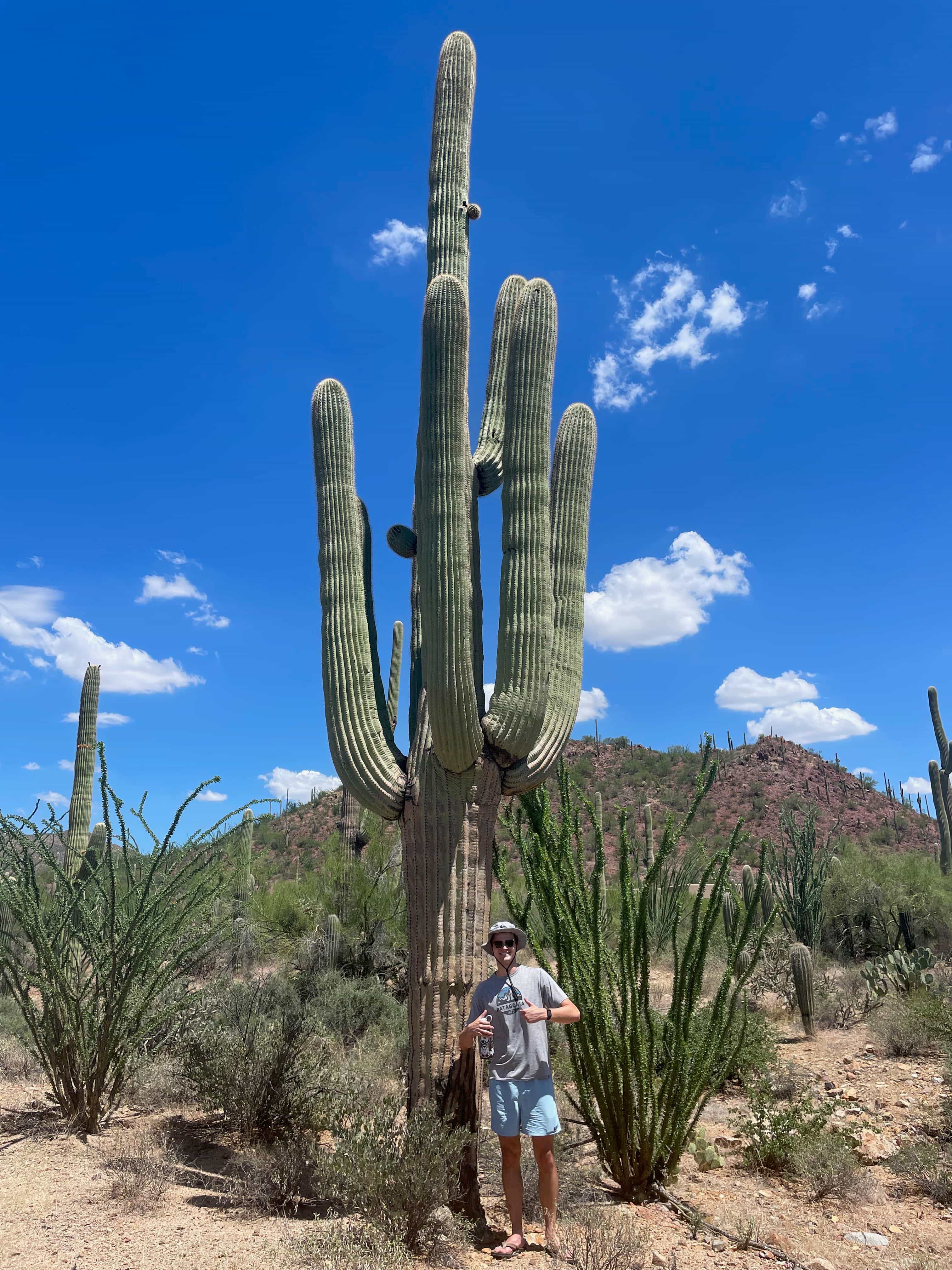 Tucson, AZ