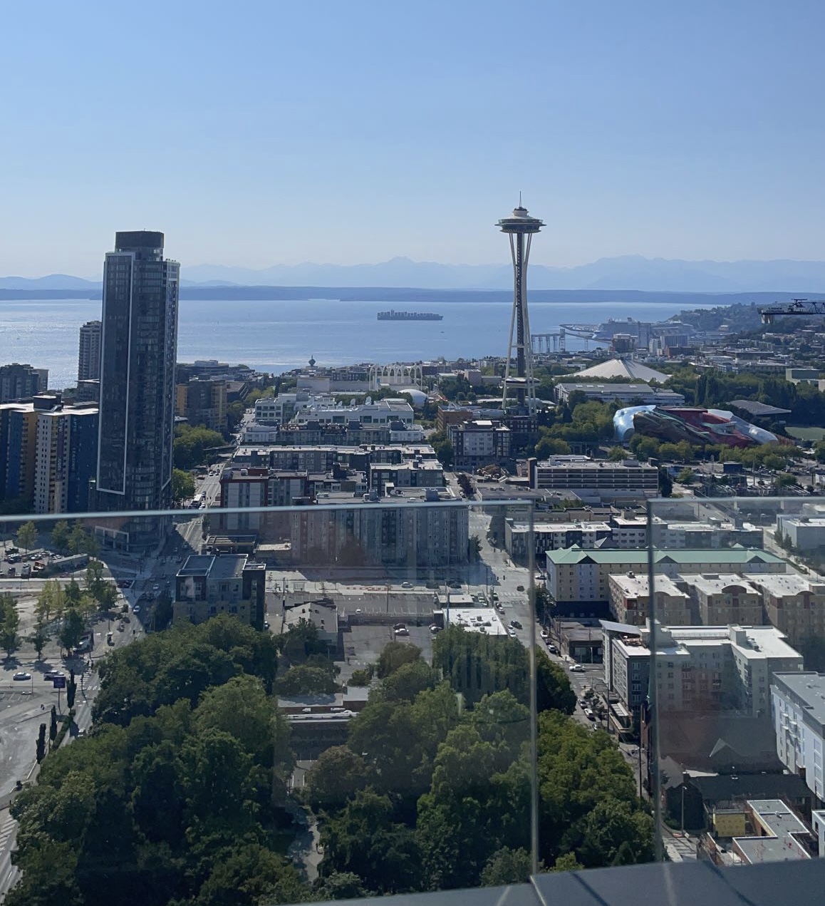 view of the Space Needle in Seattle